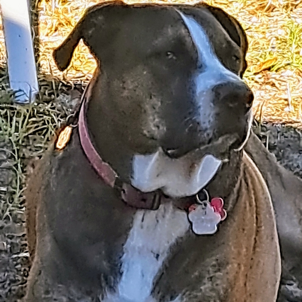 Meet your Posher, Aybar